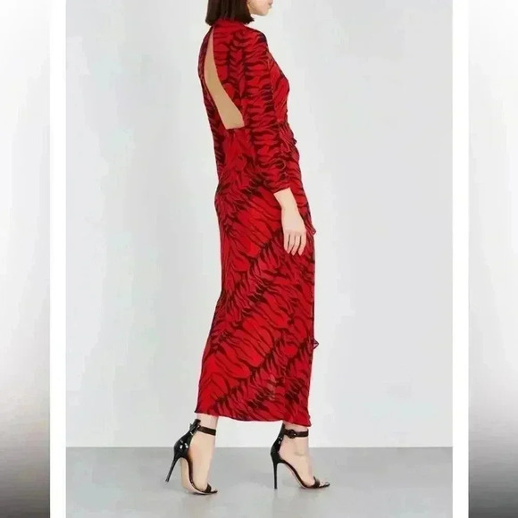 Rixo Adriana Zebra Striped Animal Print Red Black Silk Maxi Dress Size Small - Picture 11 of 16